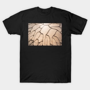 Cracked earth. T-Shirt